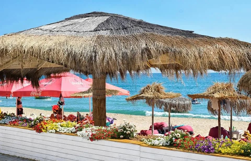 Flowerbeds along the beachfront